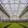 Design agriculturial glass steel structure greenhouse